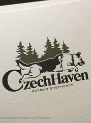 06c15c793dd06a04683819397c9c73db