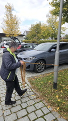 Screenshot 20251011 181824 WhatsApp