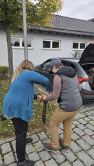 Screenshot 20251011 181837 WhatsApp