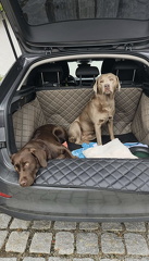 Screenshot 20251011 181908 WhatsApp