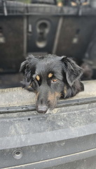 Screenshot 20251011 181904 WhatsApp