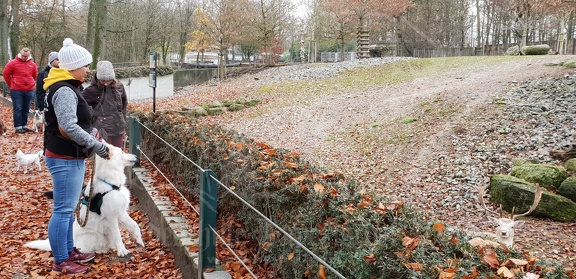 Social-Walk-Tiergarten-Straubing-Dez.-2019-3