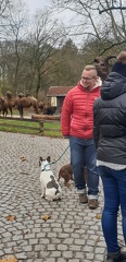 Social-Walk-Tiergarten-Straubing-Dez.-2019-40