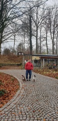 Social-Walk-Tiergarten-Straubing-Dez.-2019-45