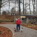 Social-Walk-Tiergarten-Straubing-Dez.-2019-45