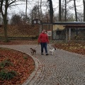 Social-Walk-Tiergarten-Straubing-Dez.-2019-49