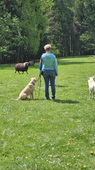 Körpersprache (100)