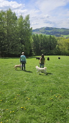 Körpersprache (101)