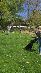 Körpersprache (102)