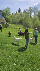 Körpersprache (103)