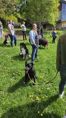 Körpersprache (104)