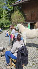 Körpersprache (105)