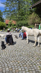 Körpersprache (106)