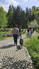 Körpersprache (107)