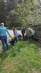 Körpersprache (110)