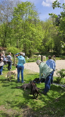 Körpersprache (111)