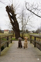 Watson und Isy