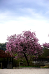 DSC05374