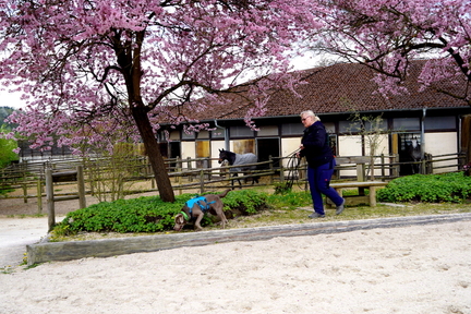 DSC05385