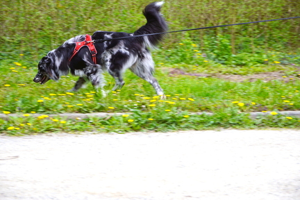 DSC05424