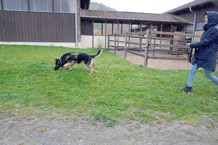 DSC05454