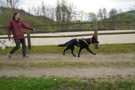DSC05634