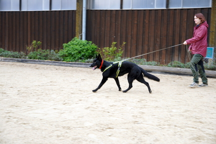 DSC05679