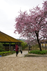 DSC05692
