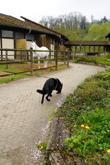 DSC05699