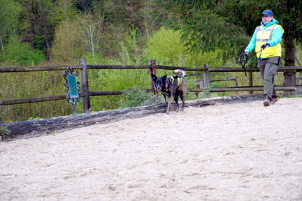 DSC05805