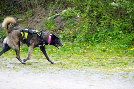 DSC05880