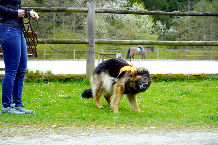 DSC05951