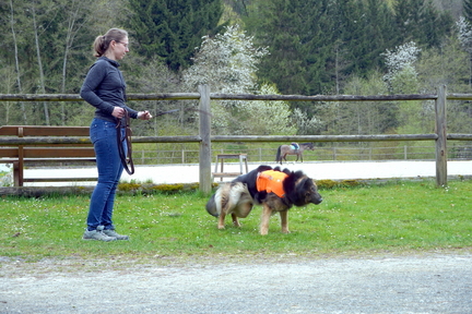 DSC05953