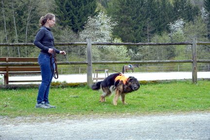 DSC05954
