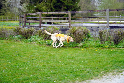 DSC06031