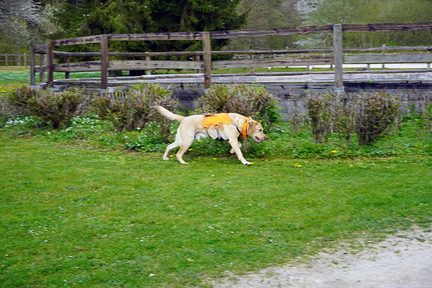 DSC06032