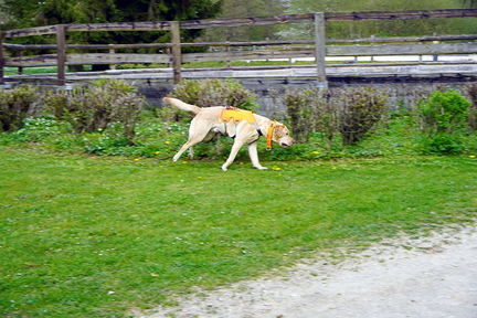 DSC06033