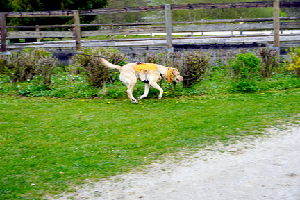 DSC06034