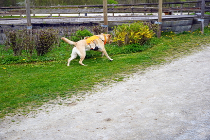 DSC06038