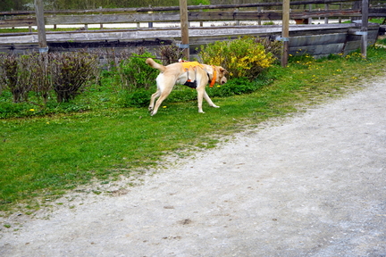 DSC06039