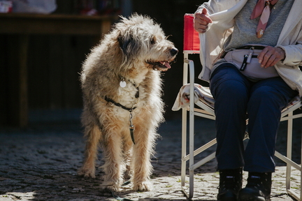 Dein Hund Dein Tag (6)