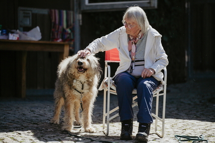 Dein Hund Dein Tag (7)
