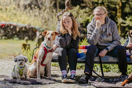 Dein Hund Dein Tag (21)