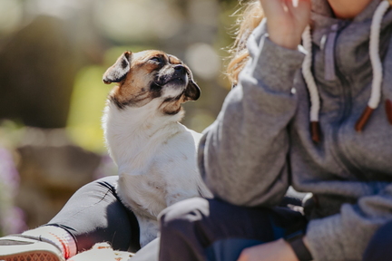 Dein Hund Dein Tag (30)