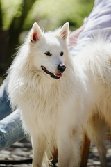 Dein Hund Dein Tag (44)