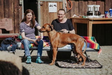 Dein Hund Dein Tag (75)