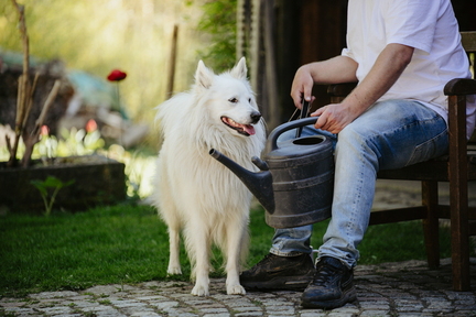 Dein Hund Dein Tag (78)